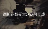 缅甸花梨受大众认可	，成为红木界的“新贵”!
