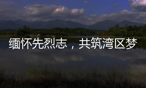 缅怀历史脉络与发展成就