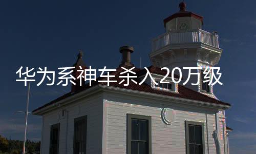 是系神它骨子里的驾驶基因