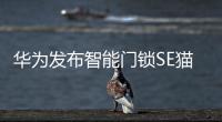 华为发布智能门锁SE猫眼版，不仅“便捷”还要“安全”