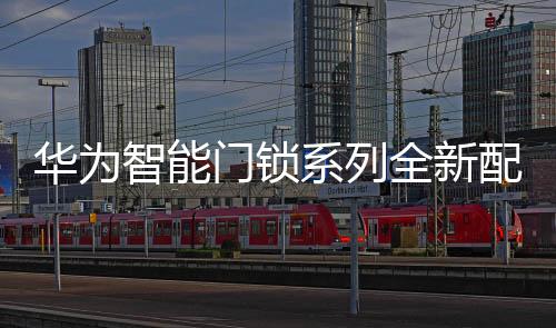 门锁Pro 版售价 3999 元