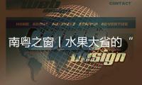 快排公司十年历程，霸屏兔 seo 的崛起与坚守