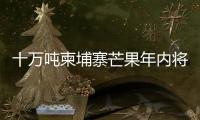快排公司十年历程，霸屏兔 seo 的崛起与坚守