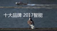 快排公司十年历程，霸屏兔 seo 的崛起与坚守