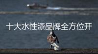 快排公司十年历程，霸屏兔 seo 的崛起与坚守