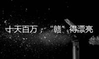 快排公司十年历程，霸屏兔 seo 的崛起与坚守