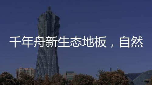 舟新自超过99%实木芯结构