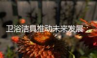卫浴洁具推动未来发展�：创新、进军高端卫浴市场!