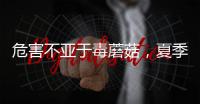 快排公司十年历程，霸屏兔 seo 的崛起与坚守