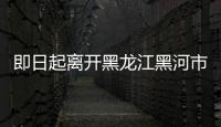 快排公司十年历程，霸屏兔 seo 的崛起与坚守