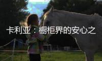 卡利亚
：橱柜界的安心之选