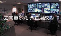 快排公司十年历程，霸屏兔 seo 的崛起与坚守