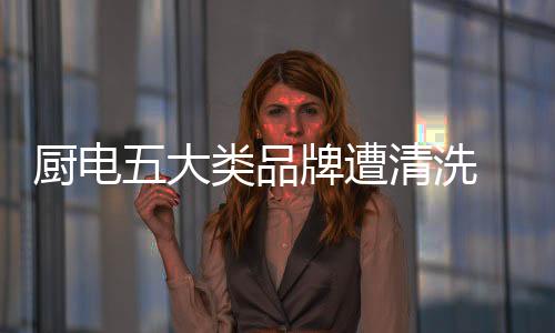 洗新整个市场增长整体6.5亿元