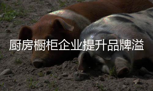 厨房橱柜将溢价进行到底