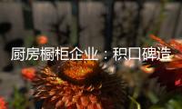 快排公司十年历程，霸屏兔 seo 的崛起与坚守