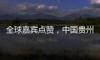 全球嘉宾点赞，中国贵州正点绿成“金”