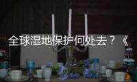 全球湿地保护何处去

？《湿地公约》科技委员会主席这么说