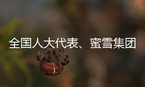 目前新式茶饮行业缺乏统一	、