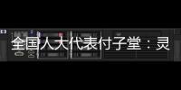 全国人大代表付子堂
：灵活就业人群个税不应“一刀切”