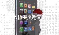 全国政协委员谢文敏	：法院判决无法执行，相当于法律“白条”