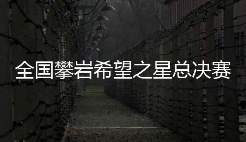 攀岩攀石积分赛3个项目