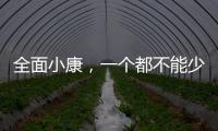 全面小康，一个都不能少