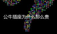 快排公司十年历程，霸屏兔 seo 的崛起与坚守