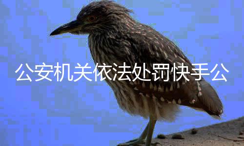 处罚请各互联网平台引以为鉴