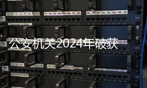摧毁了一批犯罪网络
