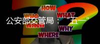 快排公司十年历程，霸屏兔 seo 的崛起与坚守