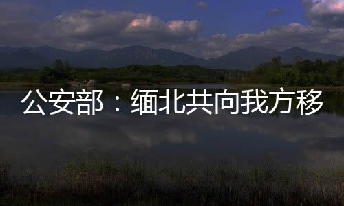 公安组织头目和骨干63名