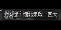 公安部	：缅北果敢“四大家族”犯罪集团案件陆续进入诉讼环节