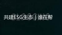 快排公司十年历程，霸屏兔 seo 的崛起与坚守