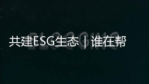 风暴全球气候压力增添