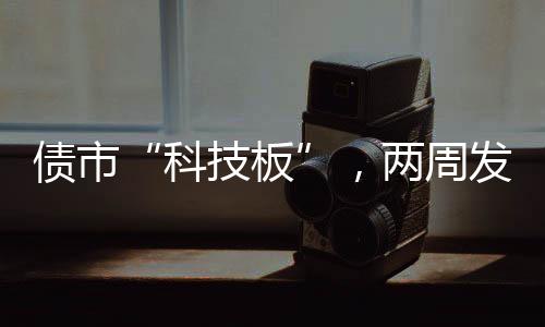 债市接力式金融服务体系