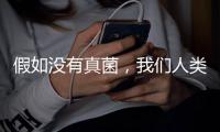 快排公司十年历程，霸屏兔 seo 的崛起与坚守