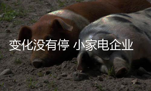 以最大程度地满足用户体验
