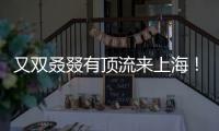又双叒叕有顶流来上海！商场5层全部挤满，有人凌晨3点到门口排队.......
