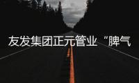 快排公司十年历程，霸屏兔 seo 的崛起与坚守