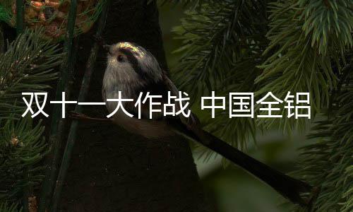 全铝全场在促销过程中