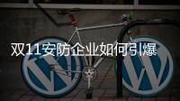 快排公司十年历程，霸屏兔 seo 的崛起与坚守