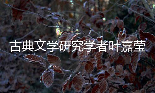 文学成立了“迦陵基金”
