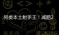 快排公司十年历程，霸屏兔 seo 的崛起与坚守