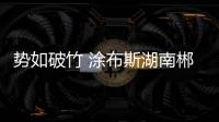 快排公司十年历程，霸屏兔 seo 的崛起与坚守