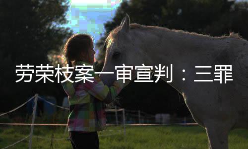 枝案经审理查明