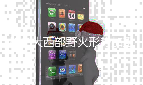 为预防危急事件发生