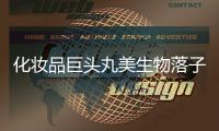 快排公司十年历程，霸屏兔 seo 的崛起与坚守