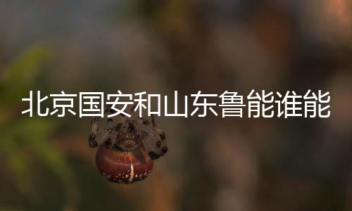 如果国安获得足协杯冠军