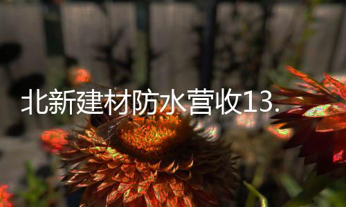 北新扎实推进复工复产