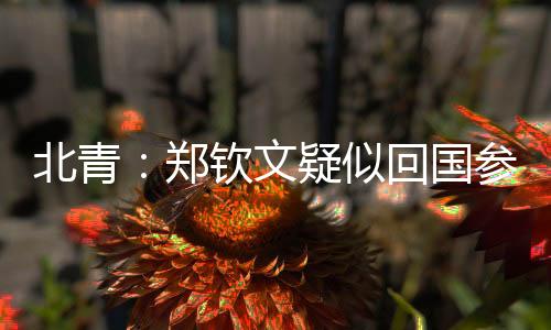 录制巴黎奥运会网球女单决赛